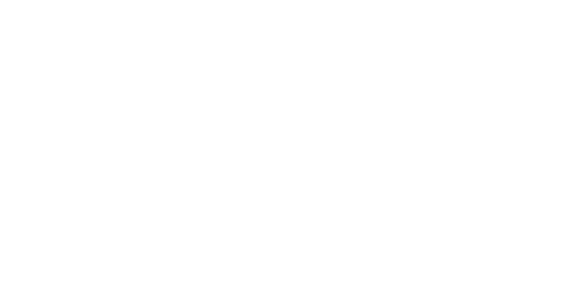 Conspit